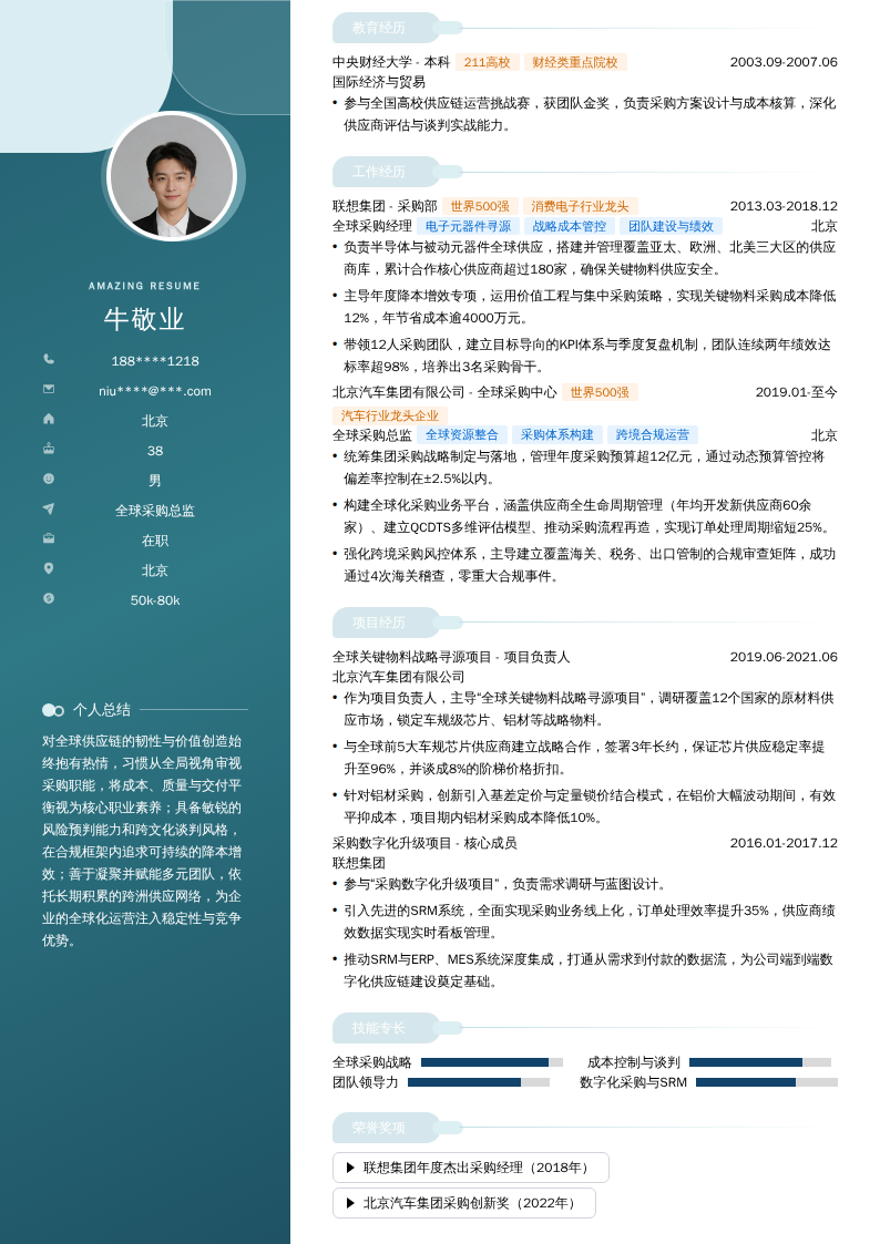 全球采购总监简历模板