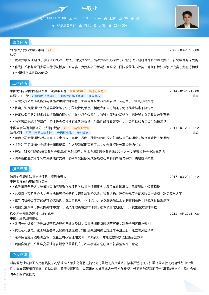 能源法务主管简历模板