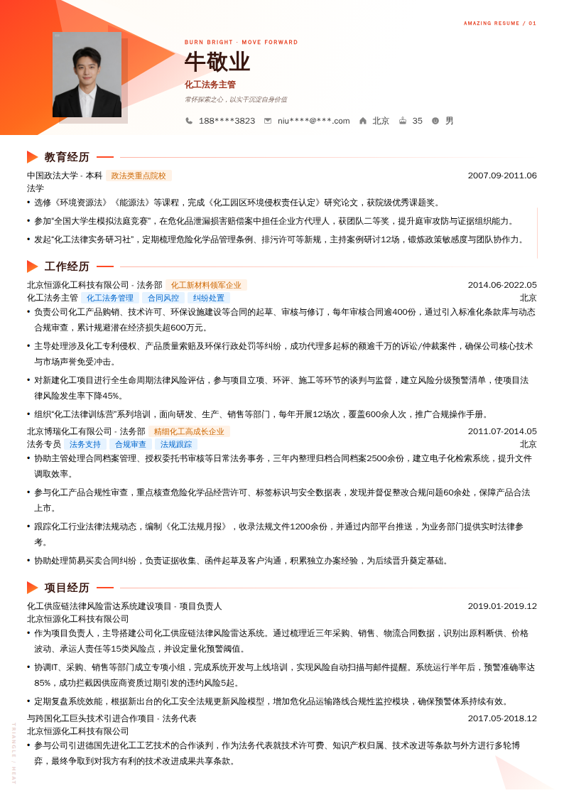 化工法务主管简历模板