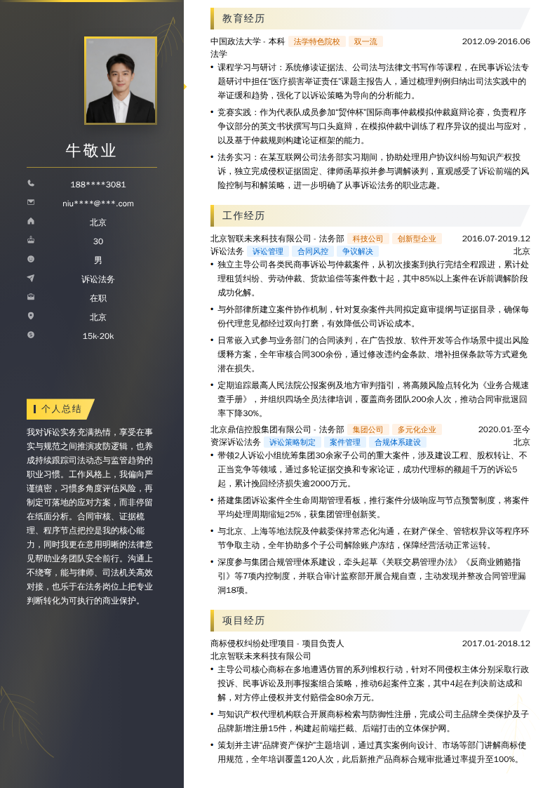 诉讼法务简历模板