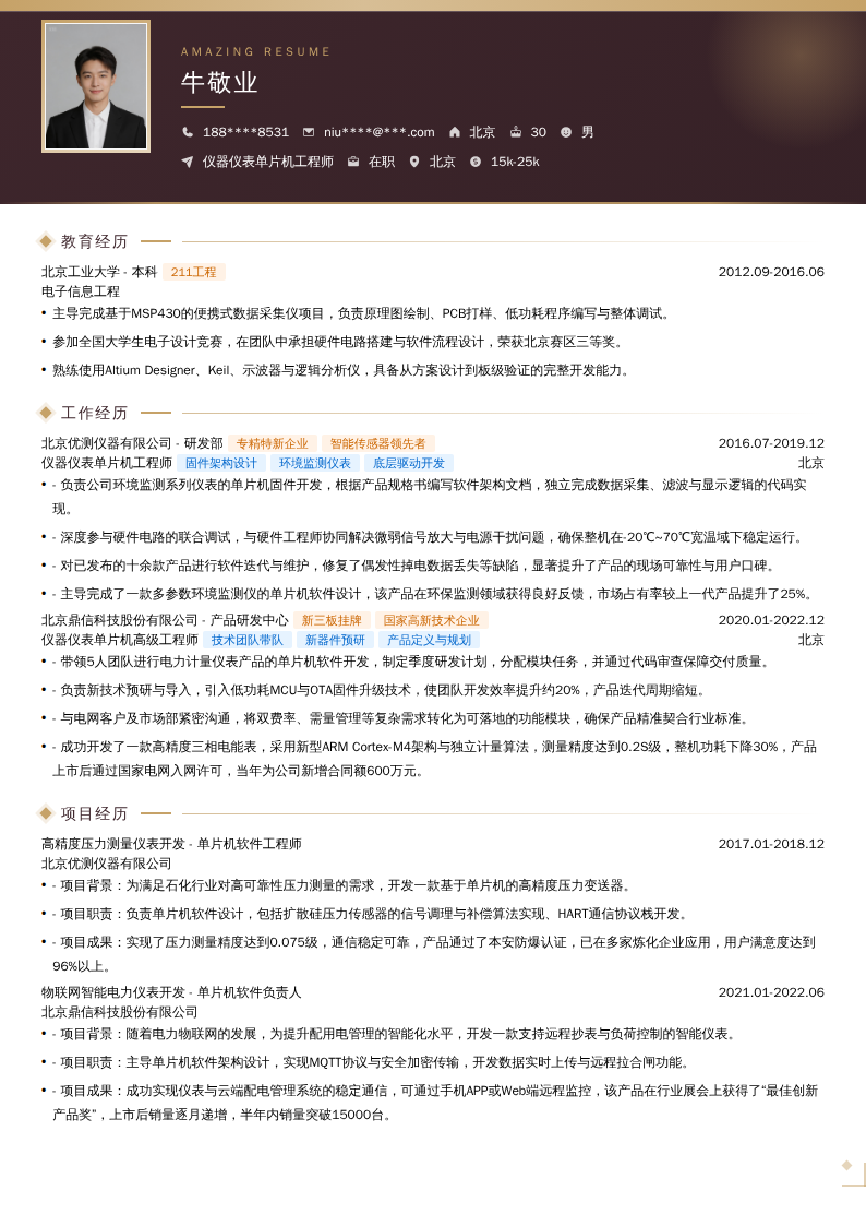 仪器仪表单片机工程师简历模板