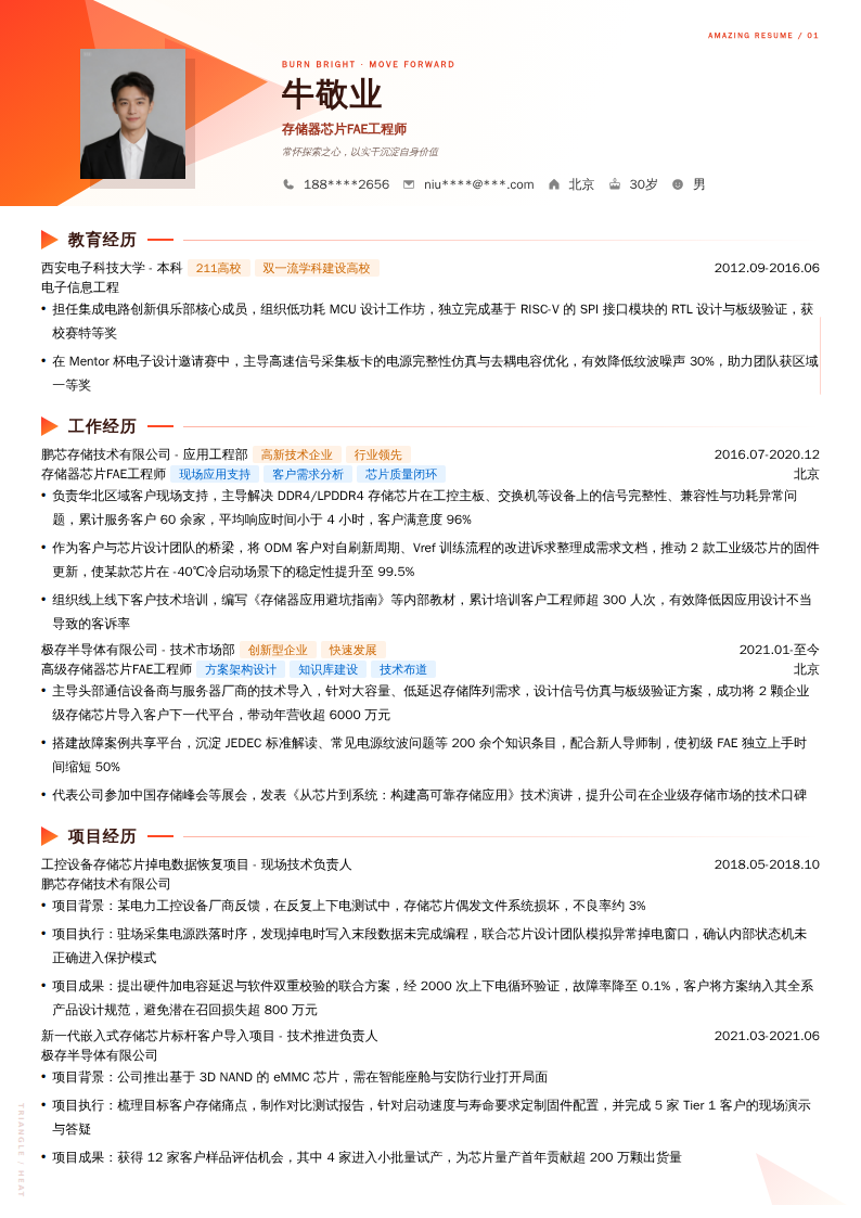 存储器芯片FAE工程师简历模板