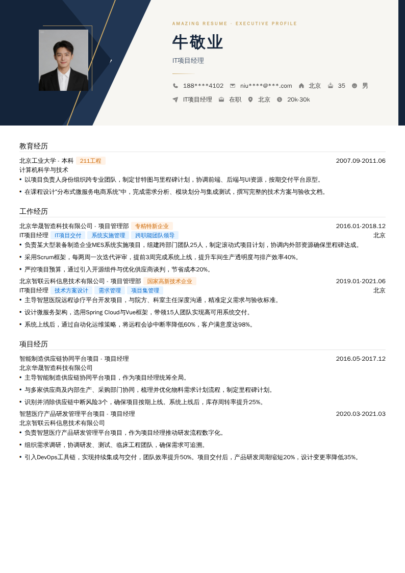 IT项目经理简历模板