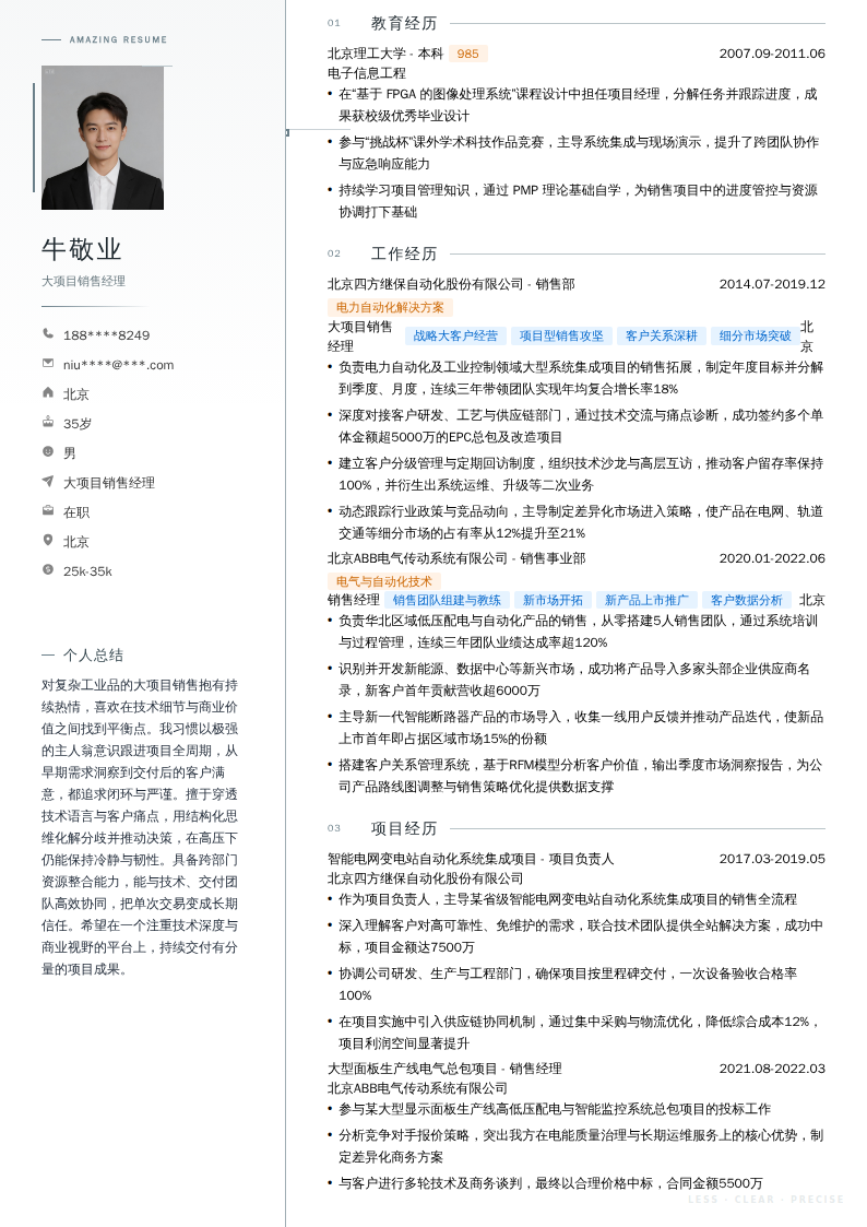 大项目销售经理简历模板