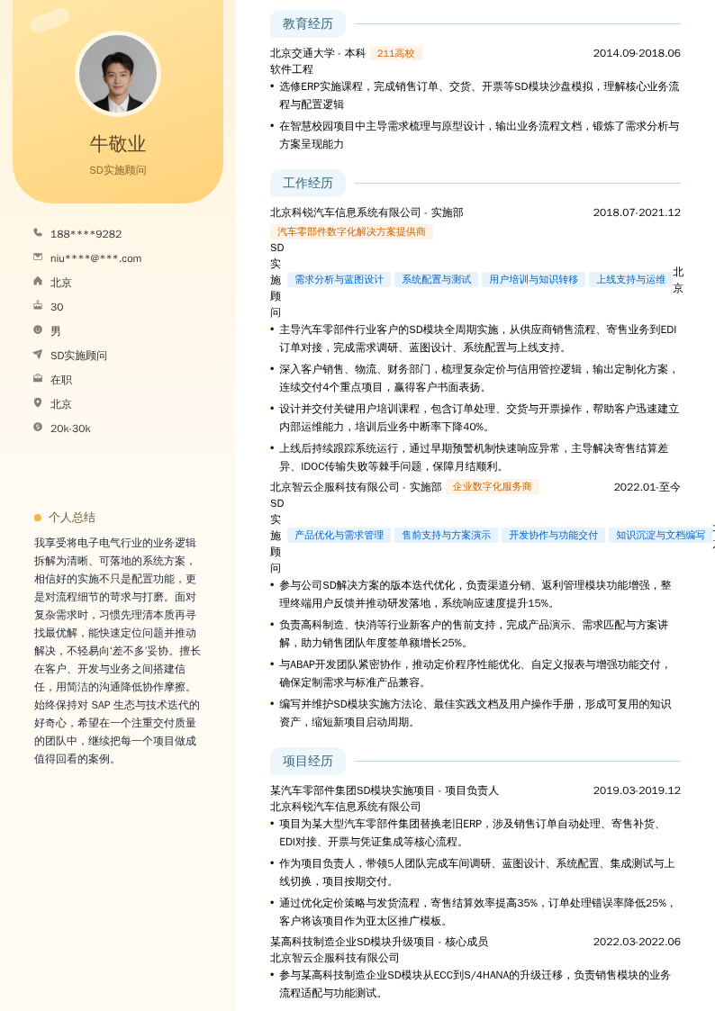 SD实施顾问简历模板