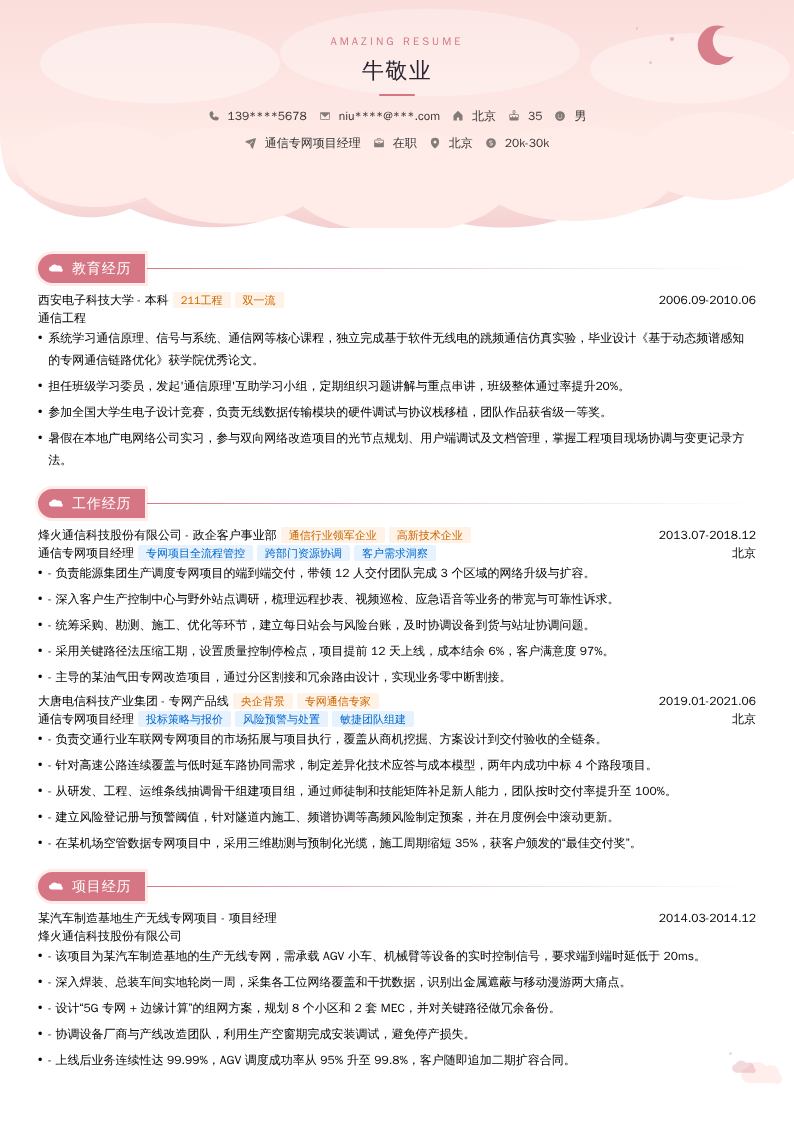 通信专网项目经理简历模板