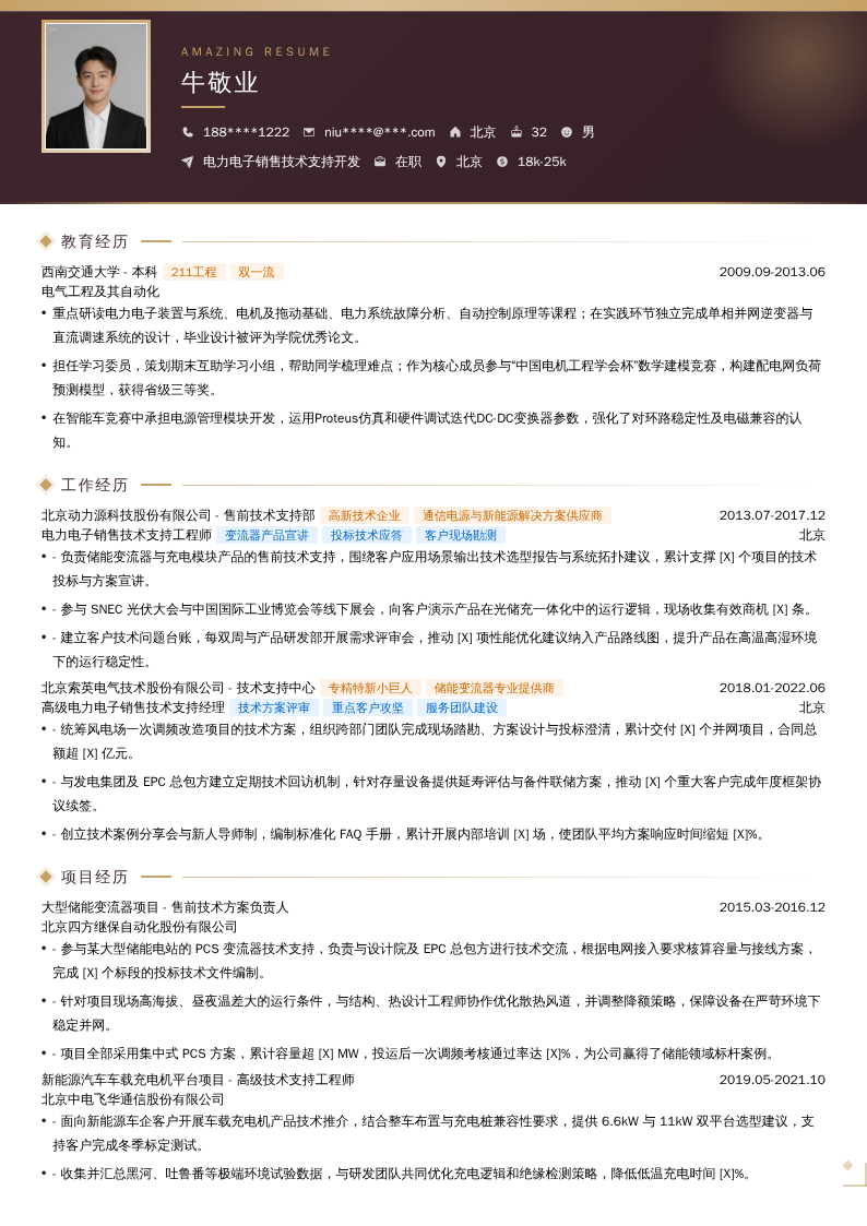 电力电子销售技术支持开发简历模板
