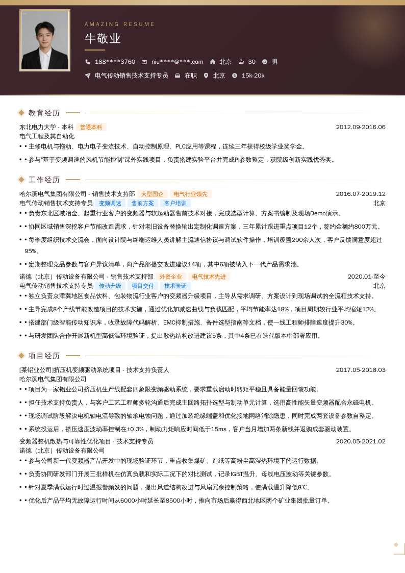 电气传动销售技术支持专员简历模板