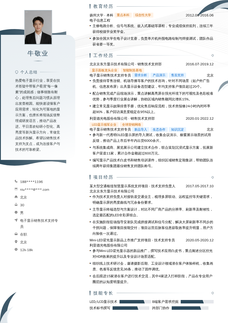 电子显示销售技术支持专员简历模板
