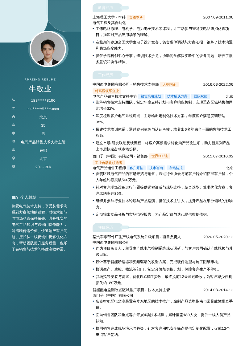 电气产品销售技术支持主管简历模板