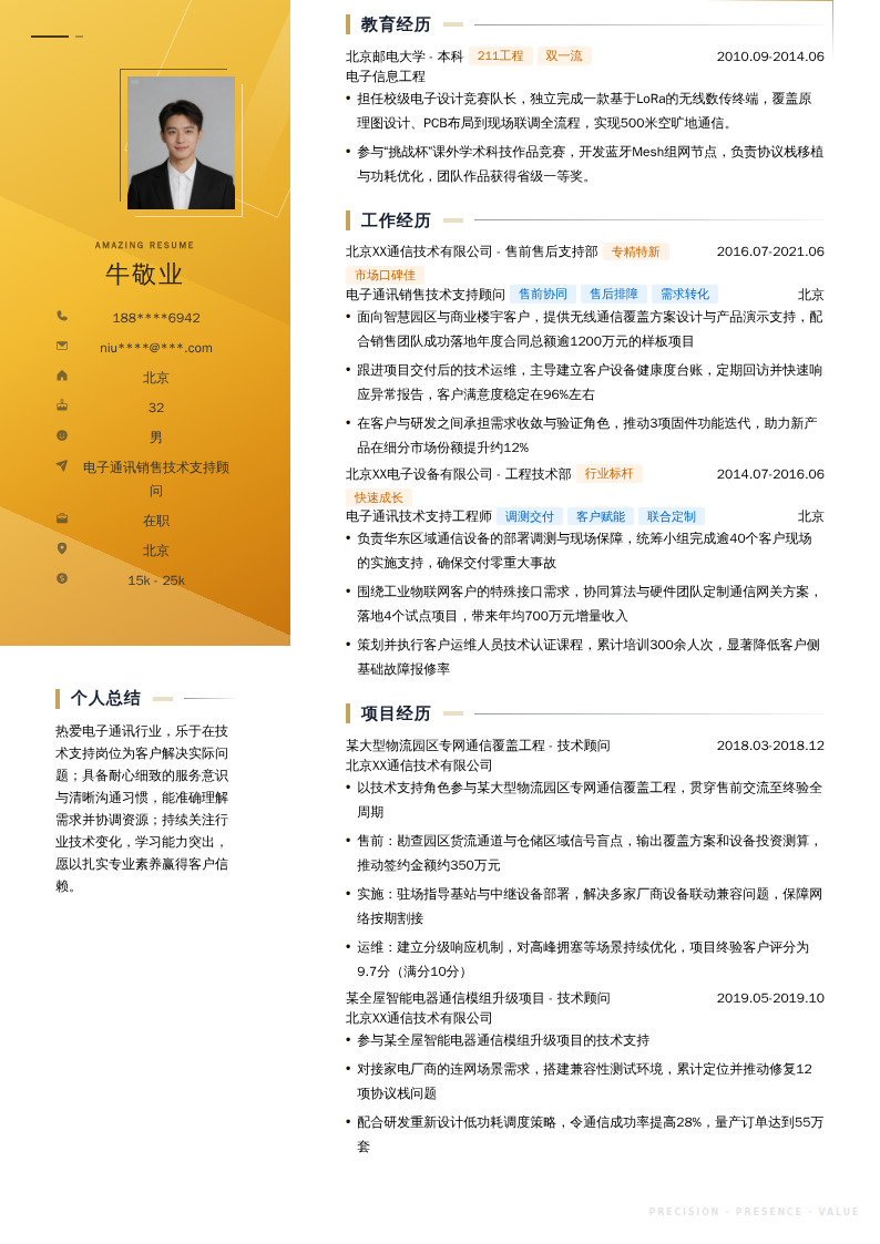 电子通讯销售技术支持顾问简历模板