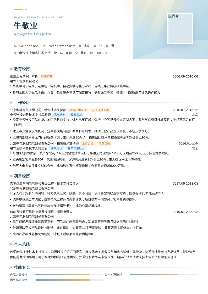 电气连接销售技术支持主管简历模板