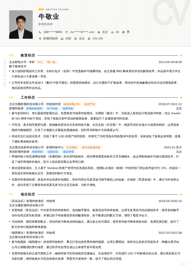 影视特效师简历模板