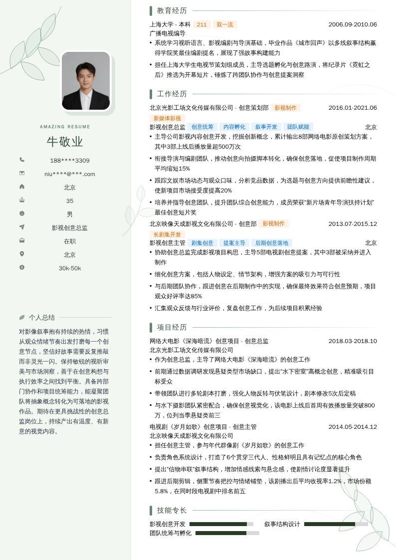 影视创意总监简历模板