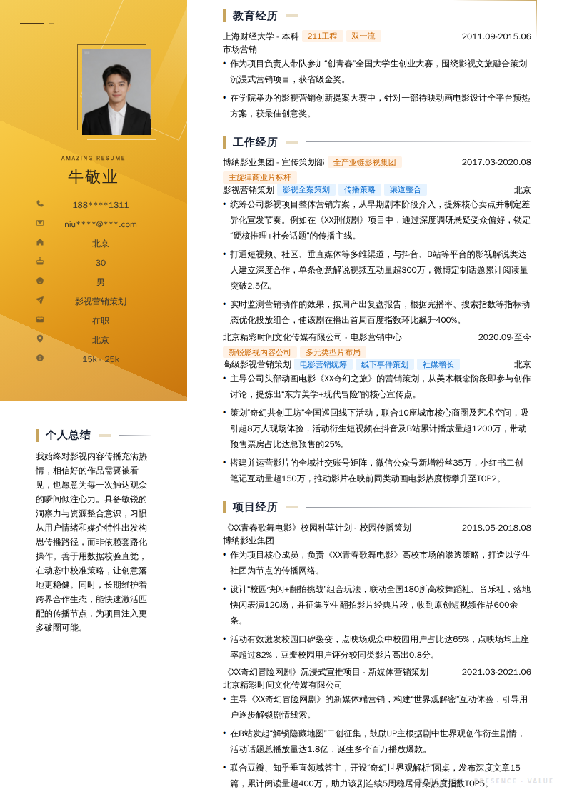影视营销策划简历模板